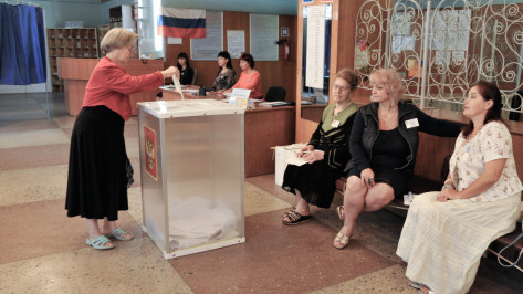 Честность и уважение прав. Зачем наблюдать за общероссийским голосованием в Воронеже