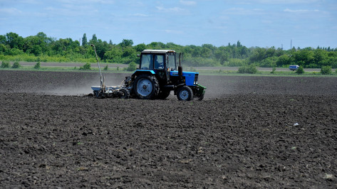 Воронежским аграриям компенсируют затраты на покупку сельхозтехники и оборудования