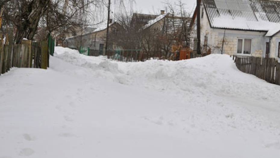 В Репьевском районе водитель оставил умирать сбитых пешеходов
