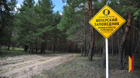 Площадь Хоперского заповедника в Воронежской области станет больше почти на 500 га