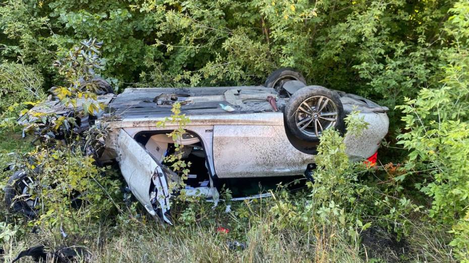 Под Воронежем в массовом ДТП пострадали два человека
