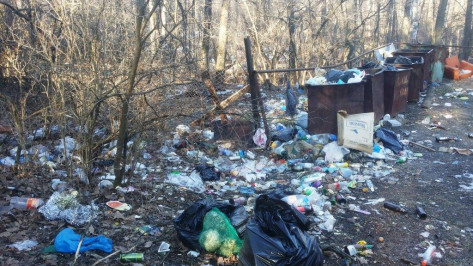 Директор турбазы под Воронежем расплатится за свалку на Кожевенном кордоне