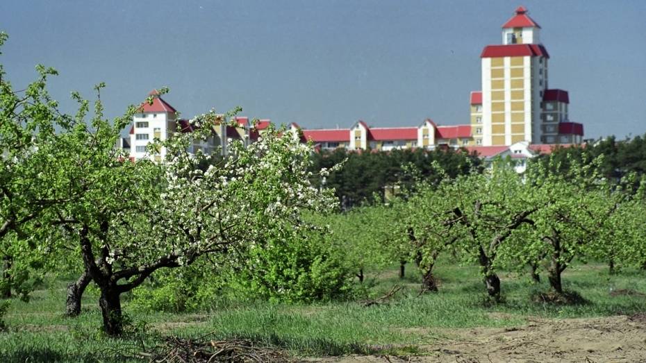 Следователи возбудили второе дело об афере с землей яблоневого сада Воронежа