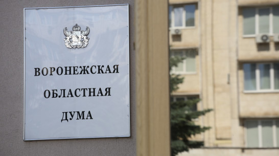 Названы имена депутатов Воронежской областной думы нового созыва