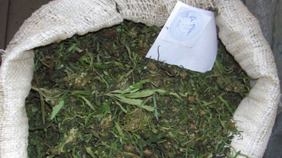 У жителя Нижнедевицкого района изъяли особо крупную партию марихуаны