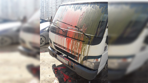 «Автомобильный Зорро» изуродовал грузовик на Минской в Воронеже