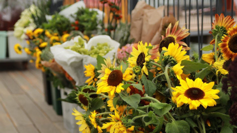 Воронежцам показали полную программу фестиваля «Город-сад»