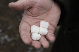 Воронежское УФАС попросили оперативно реагировать на жалобы по неадекватным ценам на сахар
