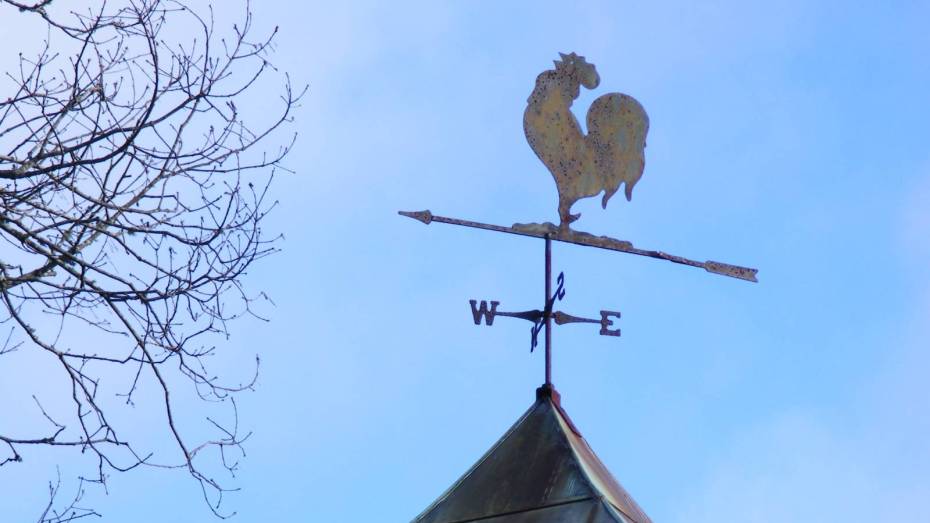 В Воронежской области продлили предупреждение о сильном ветре