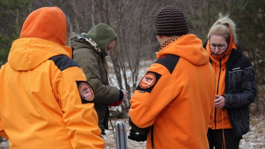 В Воронежской области за 7 дней пропало 16 человек