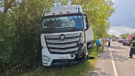 На трассе Воронежской области «Лада Веста» столкнулась с грузовиком: погибли 2 человека