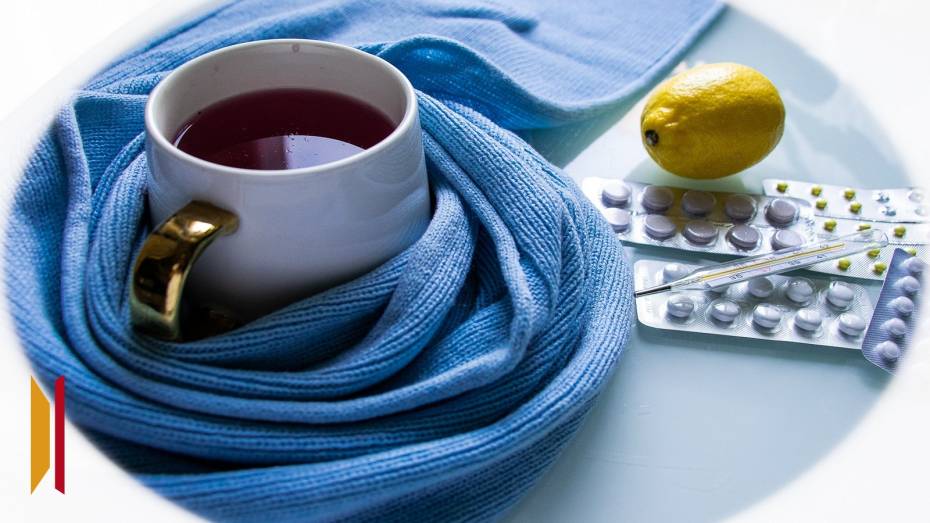 За последнюю неделю ОРВИ заболели более 10 тыс воронежцев