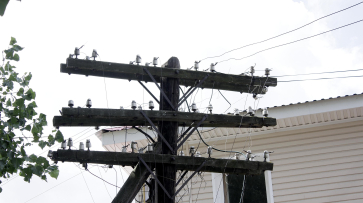 Ливень и сильный ветер вызвали перебои в электроснабжении 7 районов Воронежской области