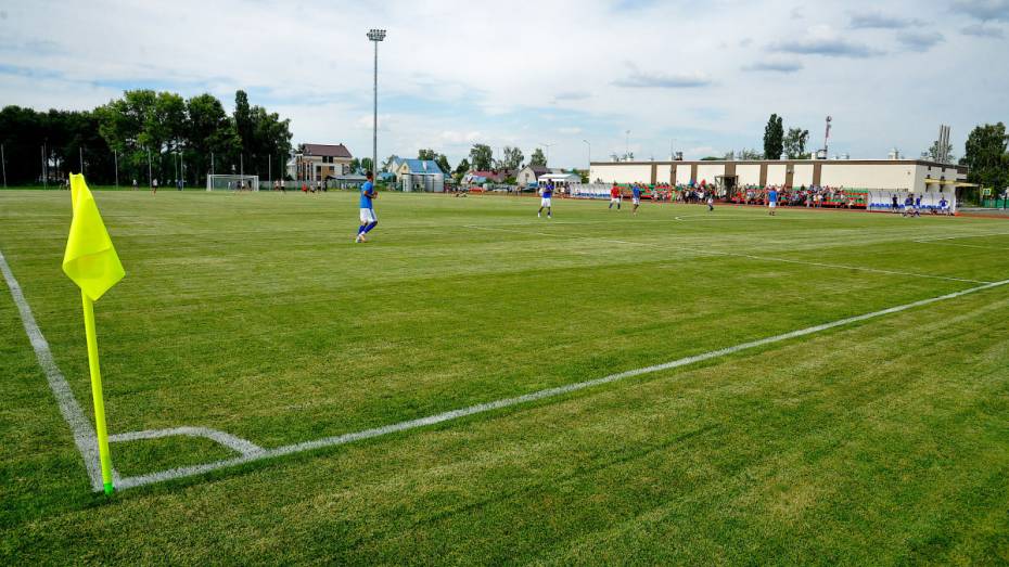 Футбольное поле воронежского «Локомотива» станет подогреваемым