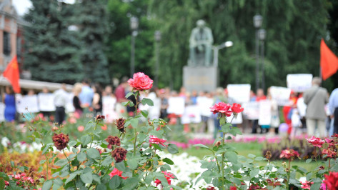 В Воронеже на обустройство цветников и газонов потратят до 22,5 млн рублей
