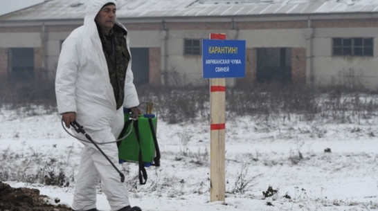 В Нижнедевицком районе завершились работы по оборудованию могильника в очаге АЧС