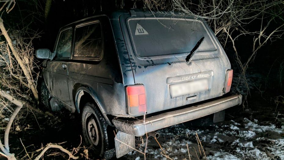 В Воронежской области двое пьяных водителей устроили ДТП, в котором пострадали 3 человека