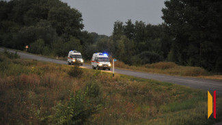 В Воронежской области за 2025 год в ДТП погибли 13 детей