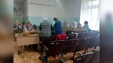 Волонтеры борисоглебского села Тюковка плетут масксети длиной 30 метров для укрытия блиндажей