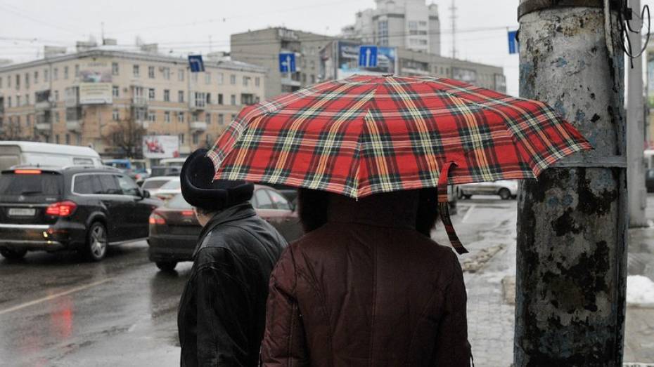 Аномальное тепло сохранится в Воронеже на новой неделе