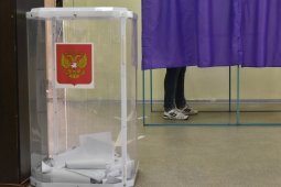 Единый день голосования в Воронежской области состоится 11 сентября
