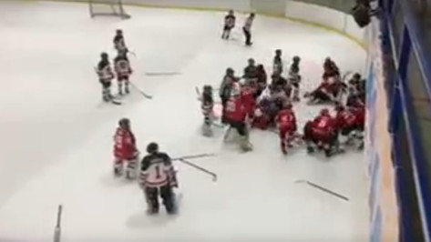 Воронежская детская хоккейная команда вновь стала участником скандала