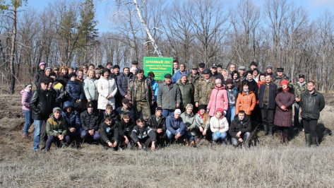 В Новохоперском районе высадили 1700 сеянцев дуба