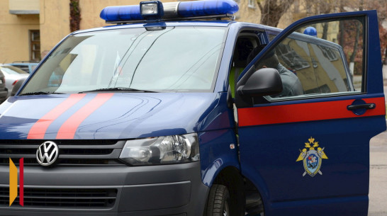 Жительнице Воронежа предъявили обвинение в покушении на убийство 3-летней дочери