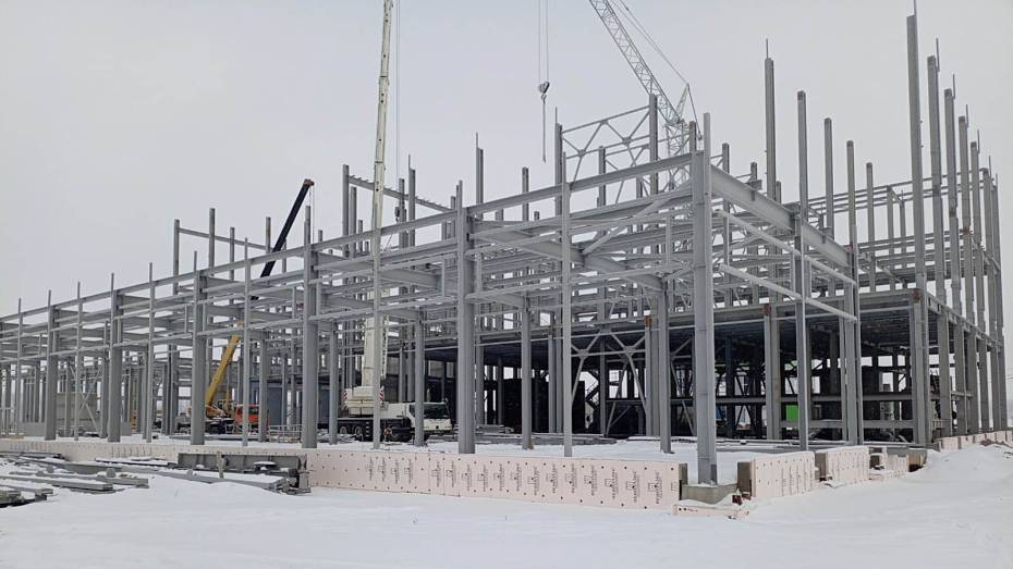 Первый в России завод по производству лимонной кислоты построят в Воронежской области