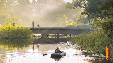 Воронежцам рассказали, будет ли аномально жарким и засушливым лето 2025 года