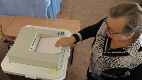Воронежский облизбирком допустил до выборов еще 4 партии 