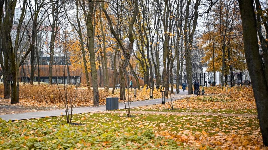 В Воронеже значительно похолодает на этой неделе