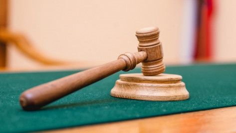 Житель Воронежской области получил 13 лет тюрьмы за растление 11-летней соседки