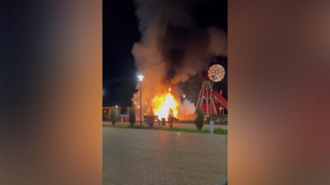 Упавший беспилотник поджег детскую площадку в Воронежской области