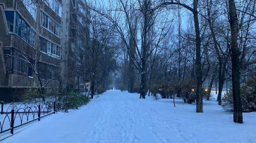 Воронеж замело снегом 20 ноября