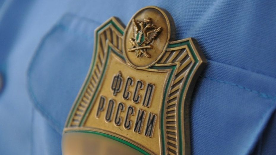 В Воронежской области приставы запретили выезд 10 тыс должников за границу 