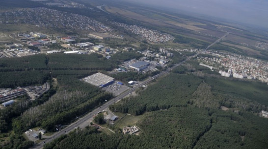 Воронежские многодетные семьи получили 566 земельных участков в 2014 году 