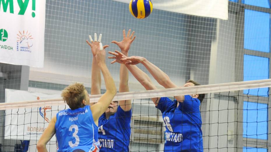 Воронежские волейболисты одержали шестую победу подряд