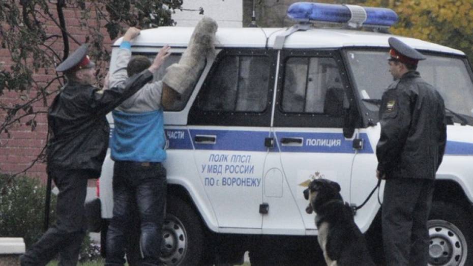 В Воронеже подросток избил двух полицейских и разбил окна в патрульной машине 