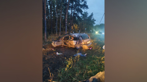В Воронеже 47-летний мужчина погиб в опрокинувшемся Chevrolet Rezzo