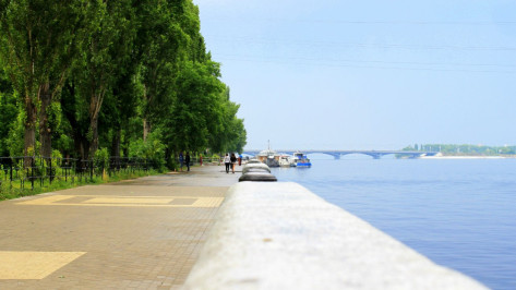 Аномальная жара в Воронежской области ослабнет уже завтра