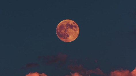 Воронежцы смогут увидеть «кровавую луну» в ночь на 29 октября