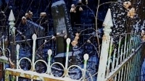 В Поворино вандал семь лет разрушал могилы, чтобы отомстить родственникам покойных