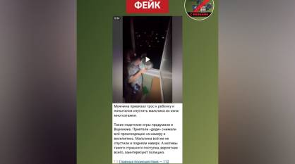 В Воронеже разоблачили фейк о спуске ребенка на тросе из окна многоэтажки
