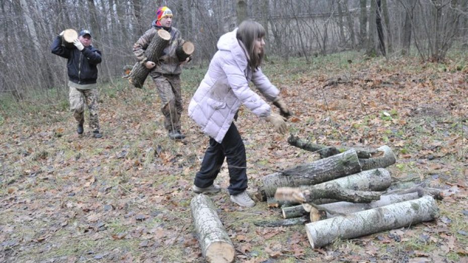 Студентам воронежских вузов придется бесплатно охранять и убирать лес