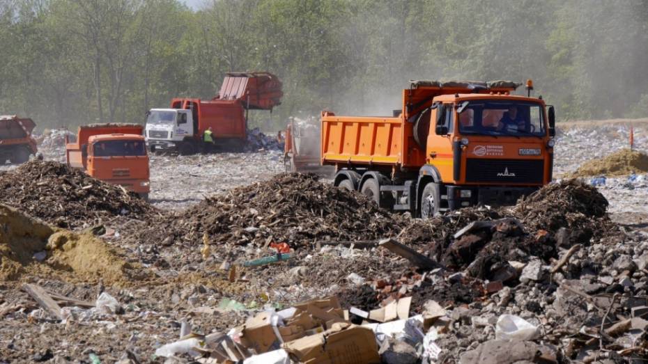 Президент пообещал держать на контроле мусорную реформу в России 