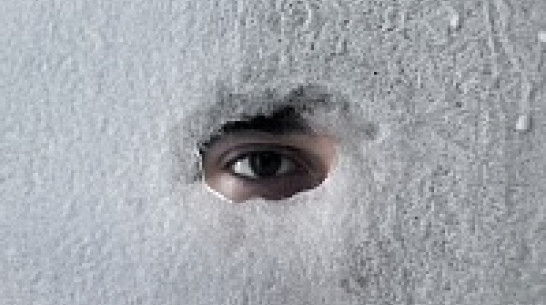 Воронежские священники не одобрили появление местной лаборатории по замораживанию умерших