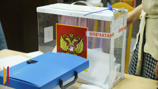 На избирательном участке в Воронеже у переносной урны отлетела пломба