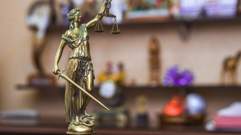 Жительница Воронежской области ответит в суде за взятку инспектору ДПС