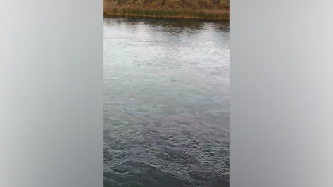 Под Воронежем по Дону разлилась солярка